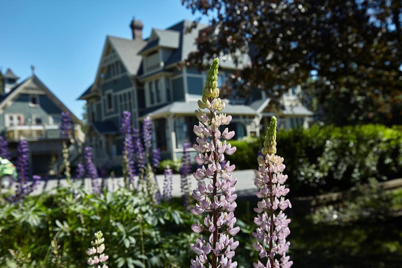 Victoria'S Historic Inn วูล์ฟวิลล์ ภายนอก รูปภาพ